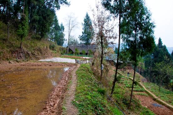 农业的突破口在哪，回农村发展怎么样？