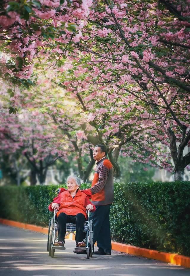  「究竟」云看花，中国美丽高等院校究竟看哪儿？