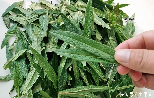  「皮肤」50岁阿姨皮肤紧致，头发茂密，原因竟是常吃它，很多人家都种过