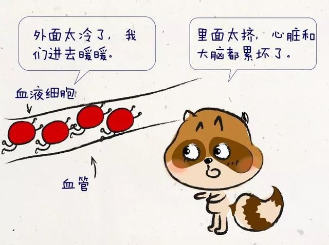  「局地」小到中雨 雪！冷空气来了