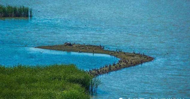 我国沙漠突现三千多泉眼，聚成万亩湖泊，风景美如画鱼儿水中游