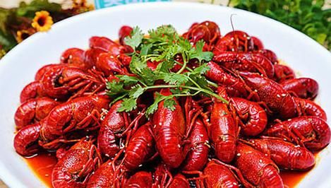 『高价』这种食物长错了地方,在中国需要花高价购买,美国却要花重金清理