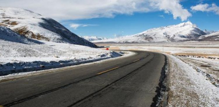 ?西藏旅行时见到路边的“大白菜”,为啥不能摘?摘了可能会出事