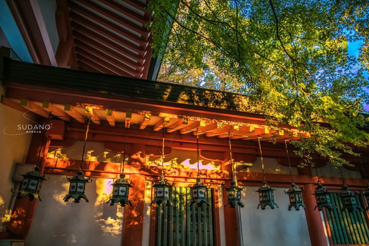 古都奈良,日本人称之东方的罗马,春日大社被