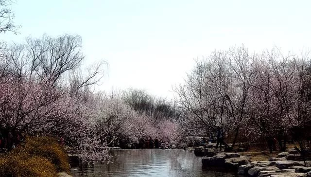 秀美山谷的春色,尽在一首无题诗中