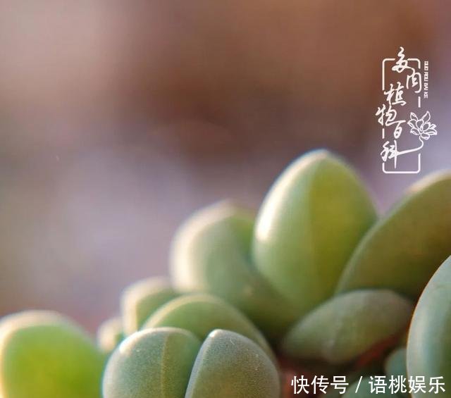  #喜欢#一粥一饭填饱肚子，一屋一花神仙日子！生命不止，玩趣不停！