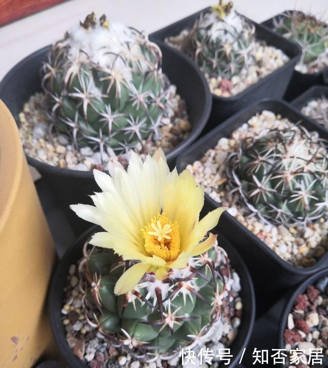  【约会】逆风而行一往直前，春天我和鱼儿有个“约会”