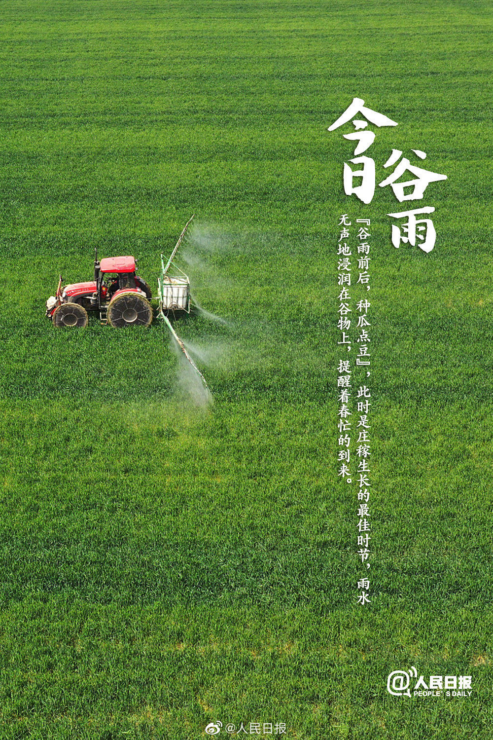 迎接@今日谷雨，你准备好迎接夏天了吗？