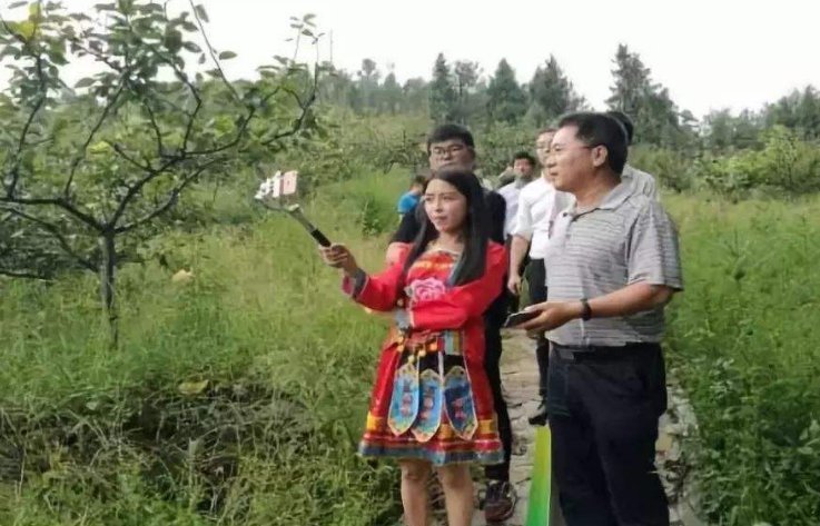  [农产品电商]想要在“农村创业”却不知道干什么，几个涉农行业