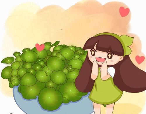  『寓意』6种寓意好的花，剪根枝就能活，年年爆盆不操心！