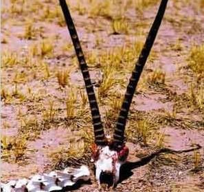 世界最恐怖的五大死亡谷之谜，有两处竟在中国