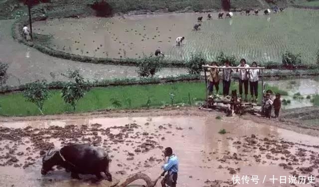  中国农村：80年代的中国农村是什么样子的 90后都没见过!
