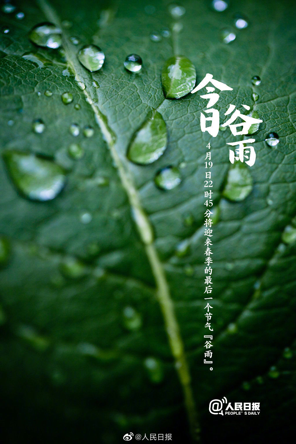  迎接@今日谷雨，你准备好迎接夏天了吗？