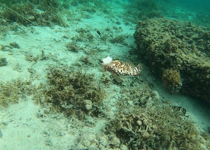 我心中向往的天堂，西沙群岛潜水、海钓、露营