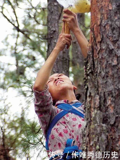 以前夏天，农民都会去赚这个钱，不偷不抢，干活有劲，数钱更乐