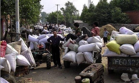 老农民交了一辈子公粮，还有另一大贡献，现在老了，怎么养老？