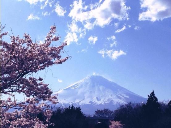 日本景点频现中文指示牌，上面的内容却令人扎心