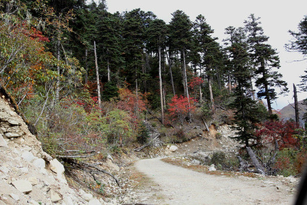 自驾霸道穿越丙察察闯西藏，悬崖边上走一遭，遭遇塌方，泥地陷车