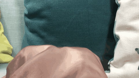 打底裤就位，妈妈再也不用担心我走光啦！