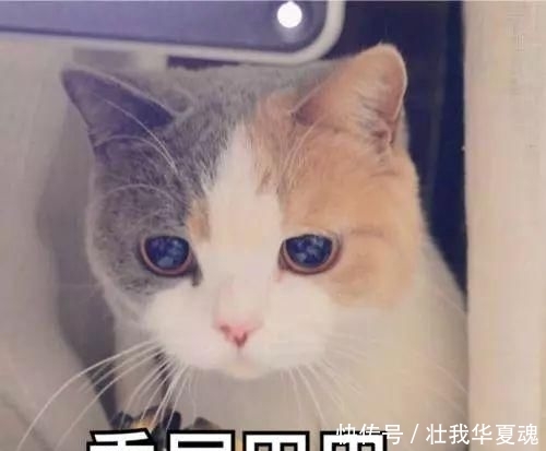 早C晚A■隔离一个月,我只教会了妈妈这条护肤黄金法则