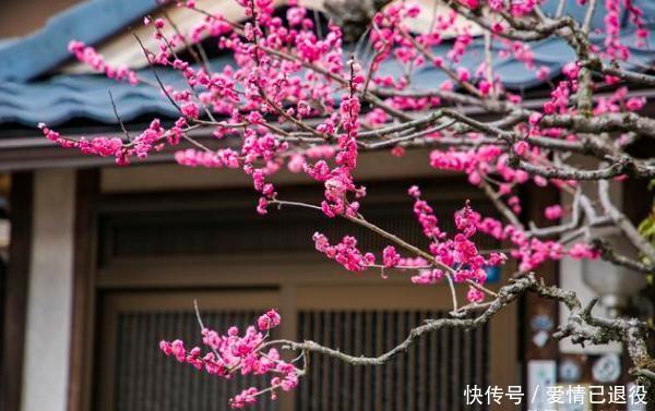 世界上最奇葩的国家人口仅有1.26亿,卫生纸消耗量却排在首位