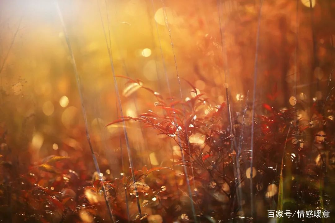  『牵挂你的人』牵挂，是世间最温暖的情