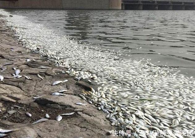 中国污染严重的2大河流，有1条河流甚至依旧被用于居民饮水！