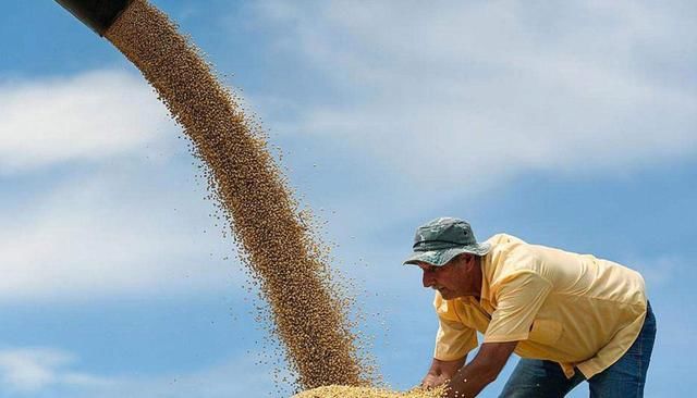 中俄合作加大，俄罗斯将100万公顷土地给中国使用，网友：好样的