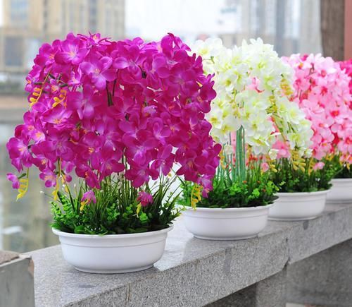 特别■这些花总爱长“长胡子”,浑身“湿湿漉漉”,才开花旺