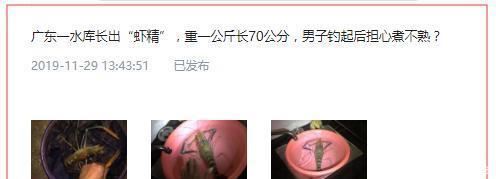  『已有』巨虾入侵！这种能长到一米长的“河虾”现身我国水域已有多人钓获！