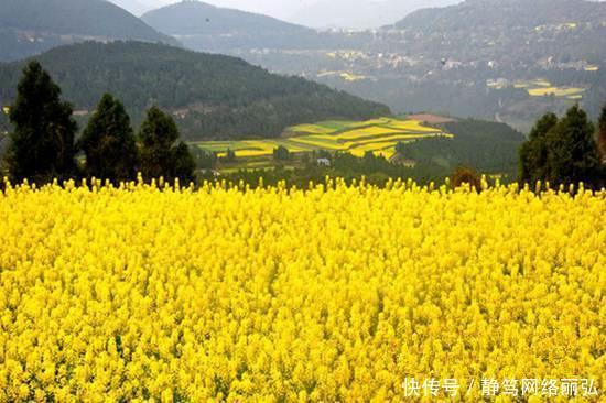 南充最大的县, 面积相当4个顺庆区大, 是你的家乡吗