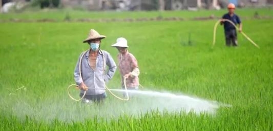 2019年半年GDP报表全出炉