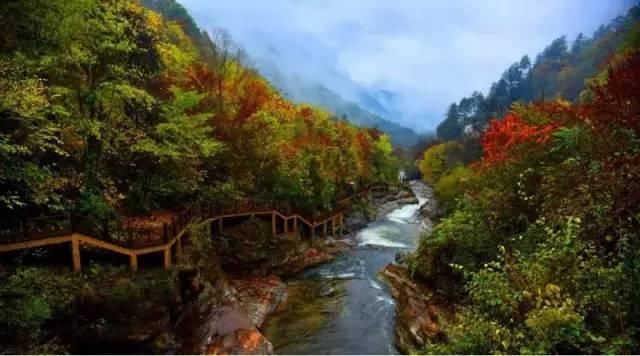 秦岭深藏敢与九寨沟媲美的地方！有条惊艳的自驾公路