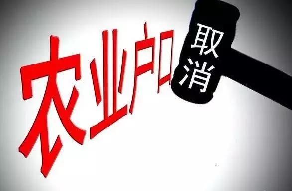 取消农村户口将全面实施，抓紧处理