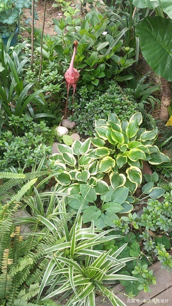 「李小姐还」她将荒芜的后院,改造成最美花园,完工一年后,让人惊艳