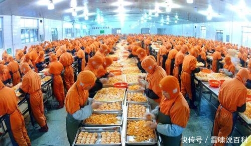  「农民」未来这几年，农村会有哪些行业迎来大发展呢？而且农民