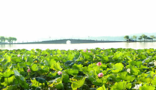 中国最良心景区：坚持16年不收门票，“损失”超过3亿