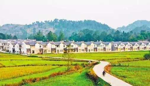 乡村振兴如何实施？解读乡村振兴战略首个五年规划亮点！