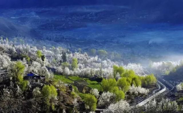 三月，去看中国最美春光