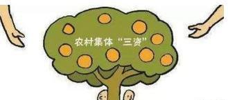 国家终于忍不住要清查困扰农民多年的三大问题了，农民纷纷点赞！