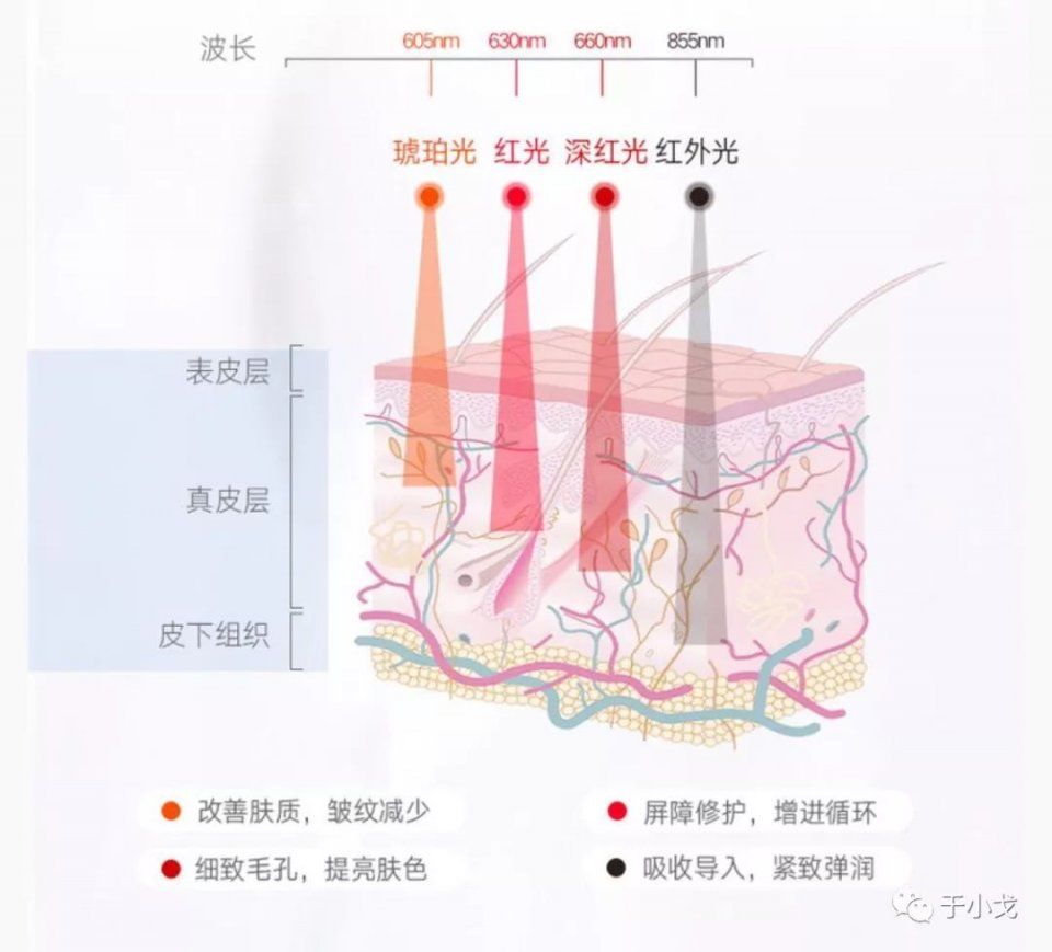 什么切乳房,烤肉,脂肪瘤,女明星写才是谣言重地