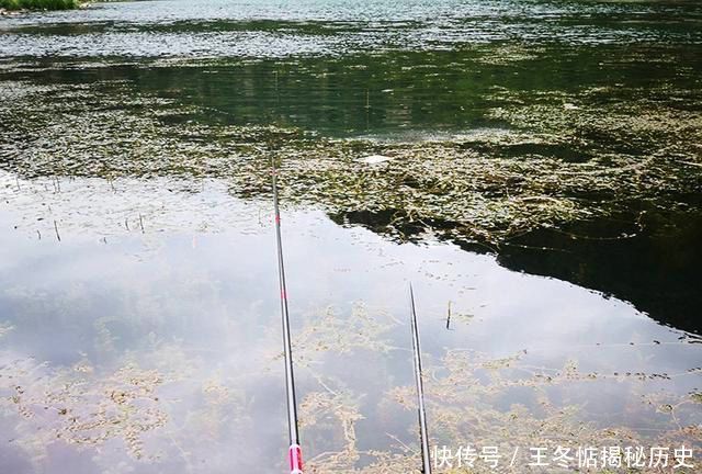  提早■提早一天打窝，垂钓时没有1条鱼上钩，从中总结出“四宗罪”