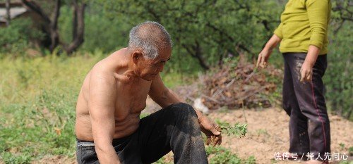 7旬老人农田里光膀子干活，说到三个孙子顿时眉开眼笑