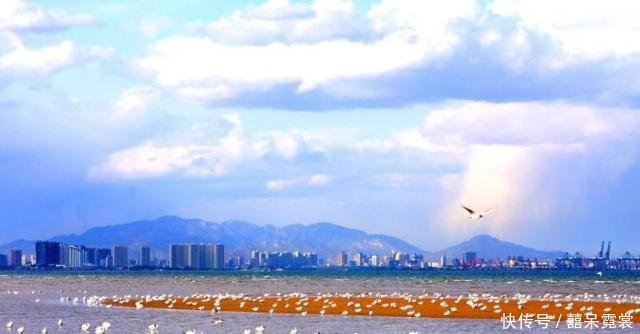 山东最辛苦的县，距省会济南554公里，驾车前往需要7小时！