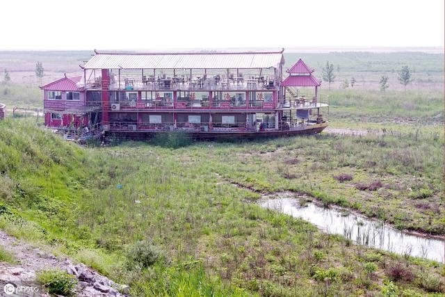  「养殖户」未来五年的养殖发展方向