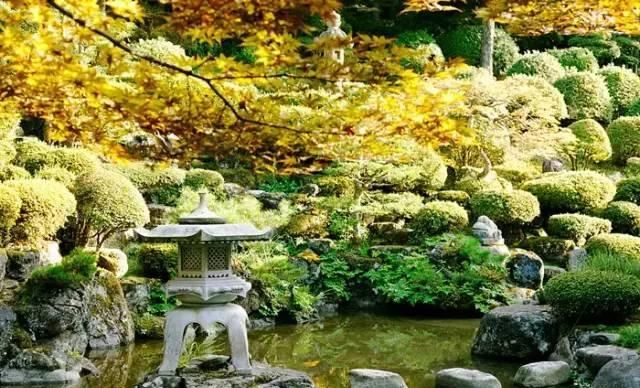 诗意心境,禅意鱼池,你所不知道的佛系庭院