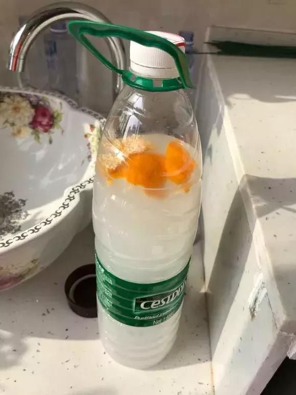  [栀子花]栀子、茉莉老黄叶，不缺肥不缺水，就是缺“醋”，浇点酸水长得旺