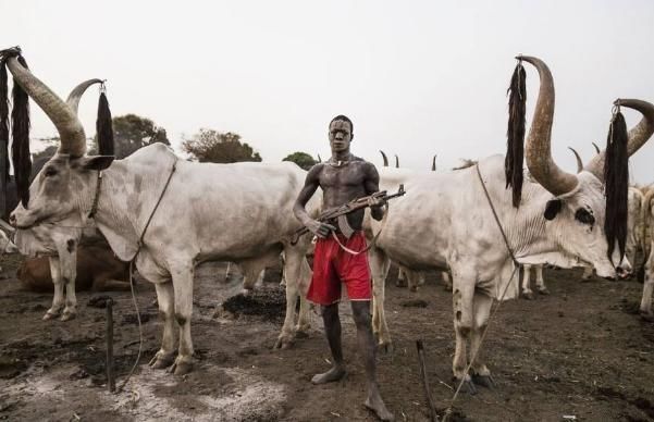 全球最高民族:平均身高一米八,牛是“硬通货”!