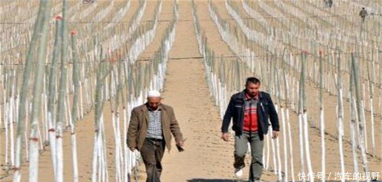 我国在塔克拉玛干沙漠,投资上亿种下大量植物,如今成了什么样?