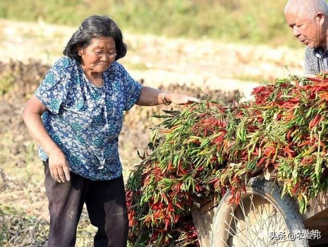 农村家庭一般有多少存款？算得上富有？